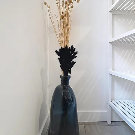 Maison Zozime - Proche De La - Climatisation Et Wifi Villa *